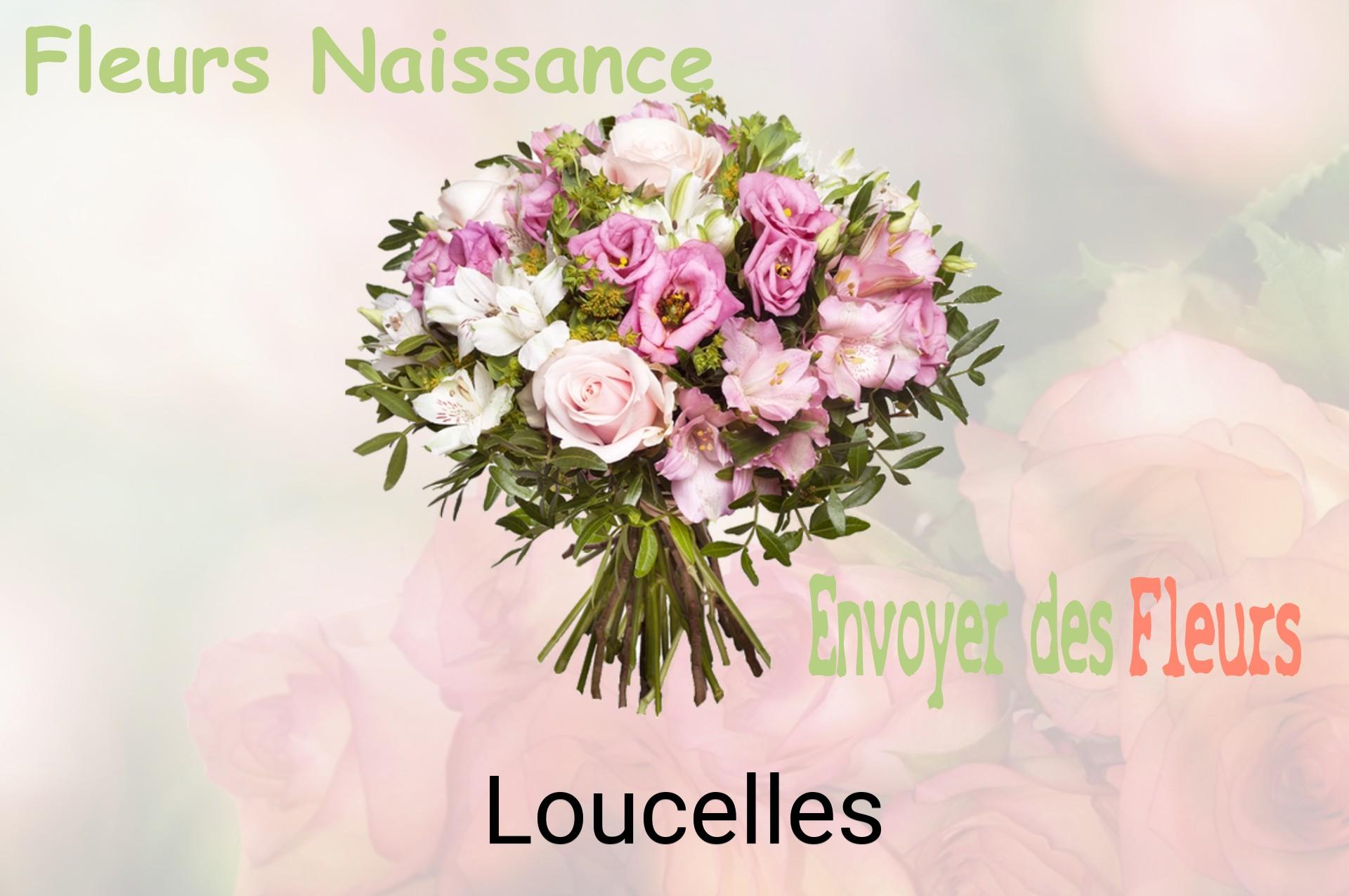 Bouquet de fleurs de naissance livré à Loucelles